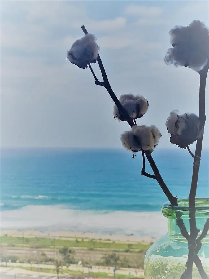 公寓 Rotem Home 海法 以色列
